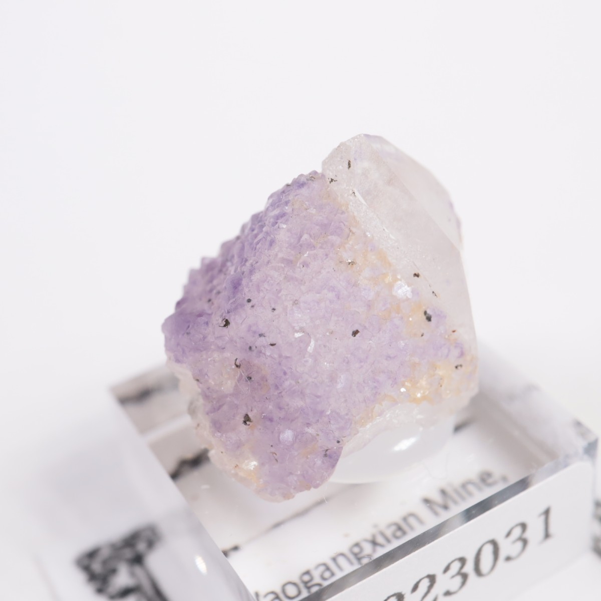 �䥪���󥷥��ۻ��� �ե����饤��