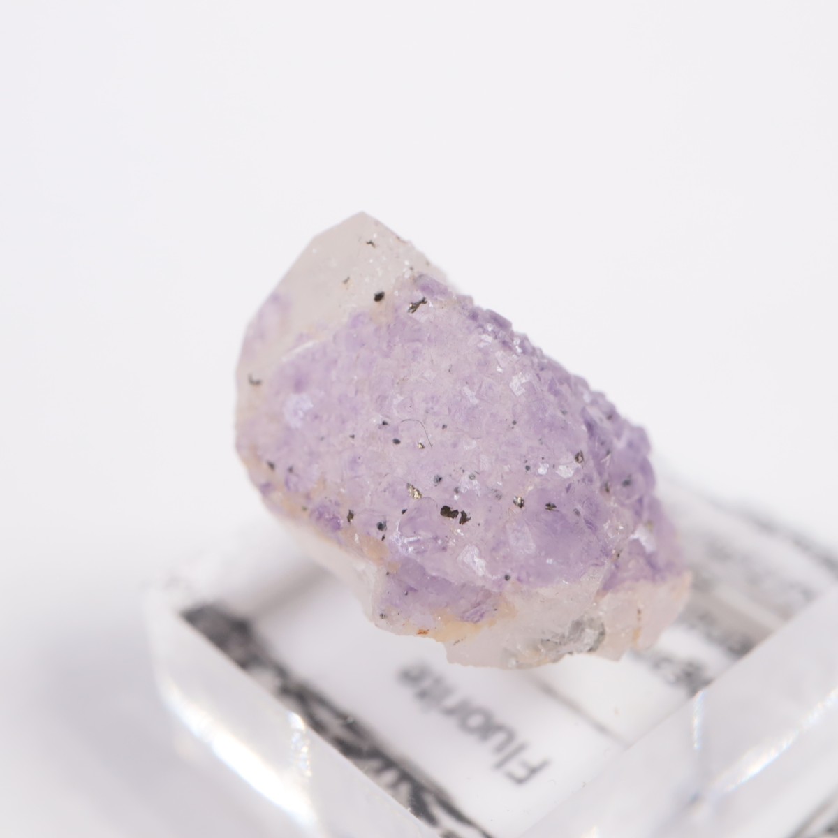 �䥪���󥷥��ۻ��� �ե����饤��