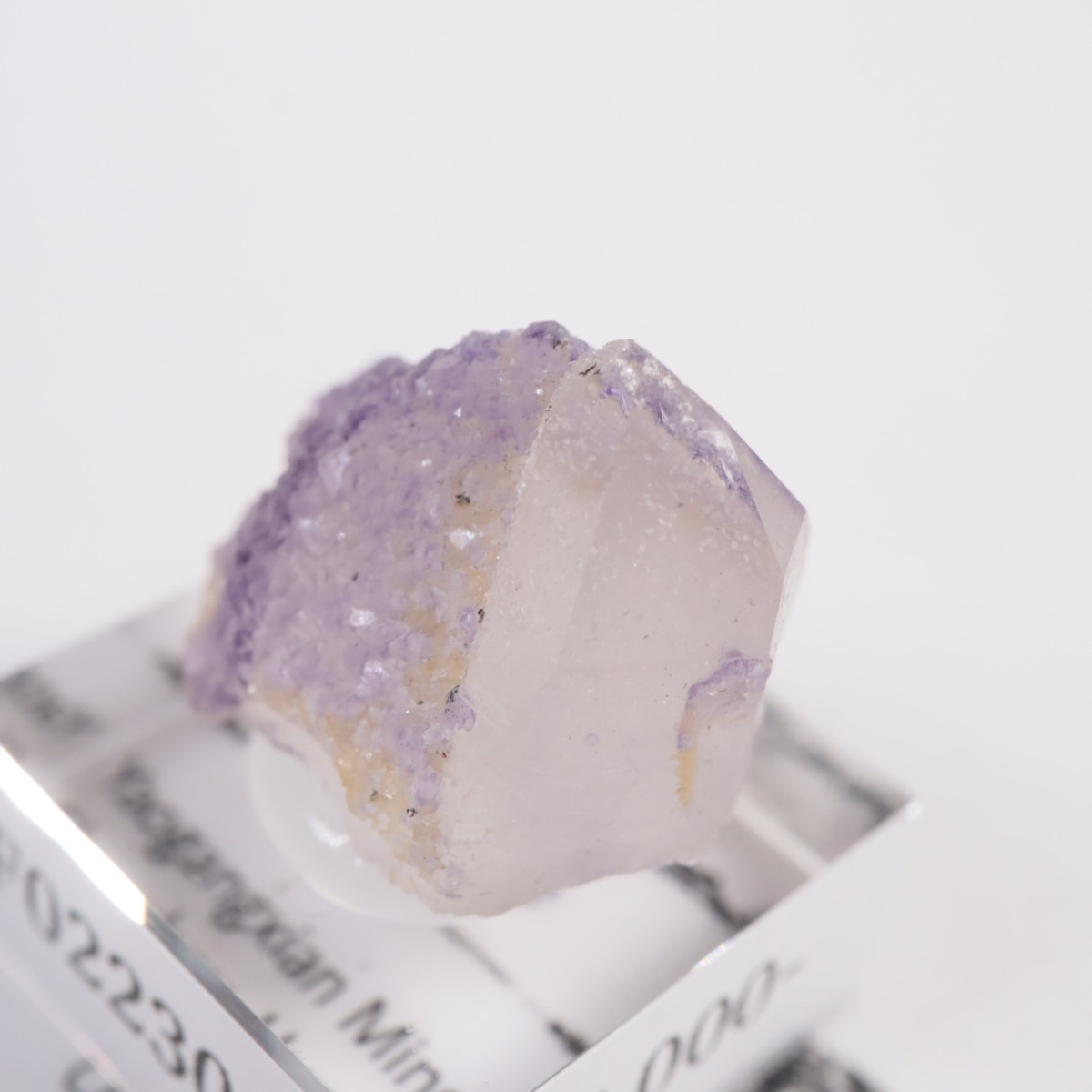 �䥪���󥷥��ۻ��� �ե����饤��