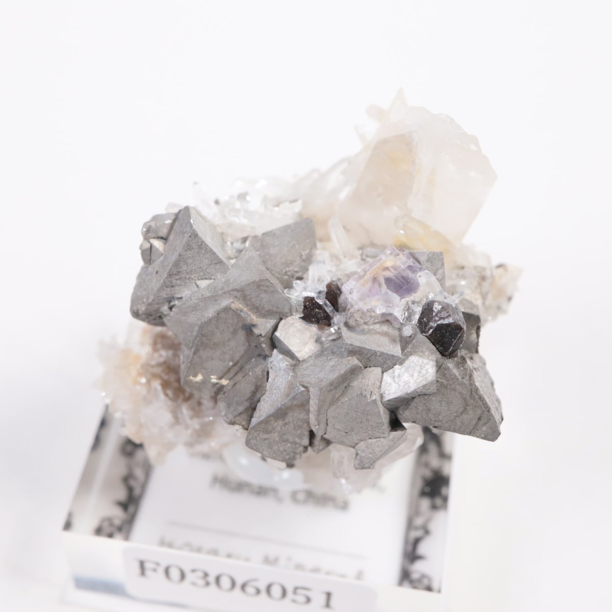 �䥪���󥷥��ۻ��� β��Ŵ�ۡ���������