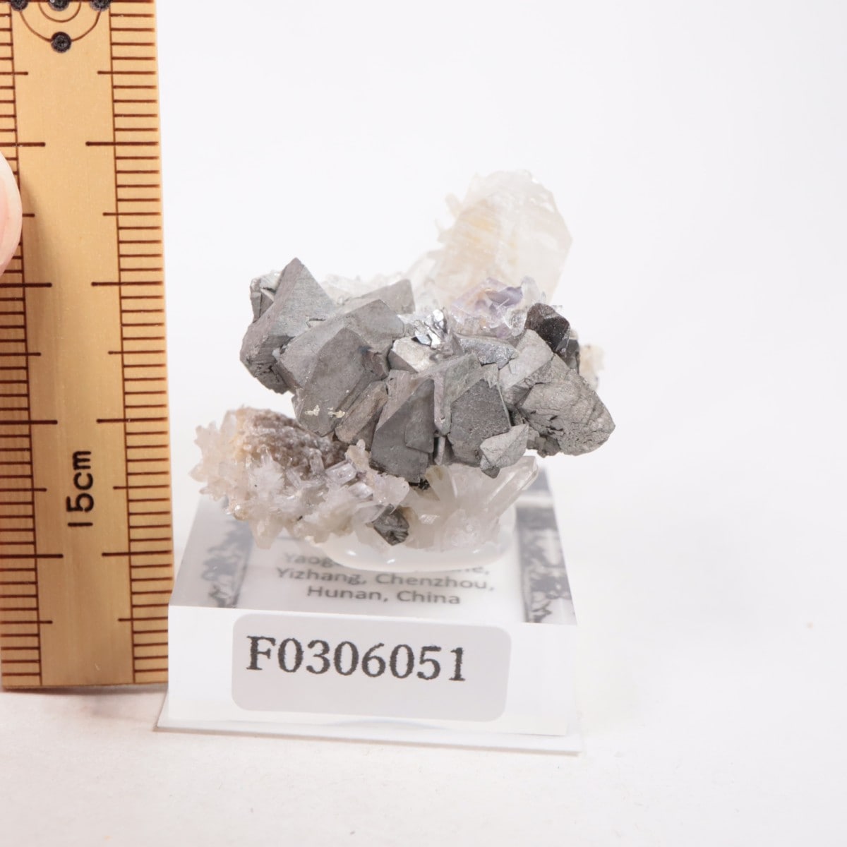 �䥪���󥷥��ۻ��� β��Ŵ�ۡ���������