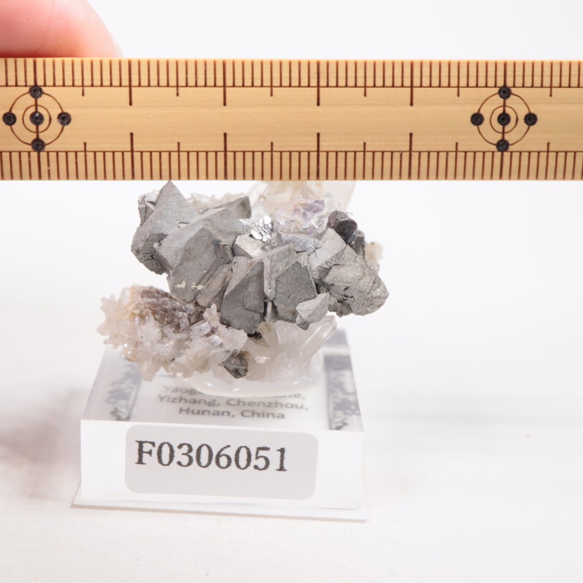 �䥪���󥷥��ۻ��� β��Ŵ�ۡ���������