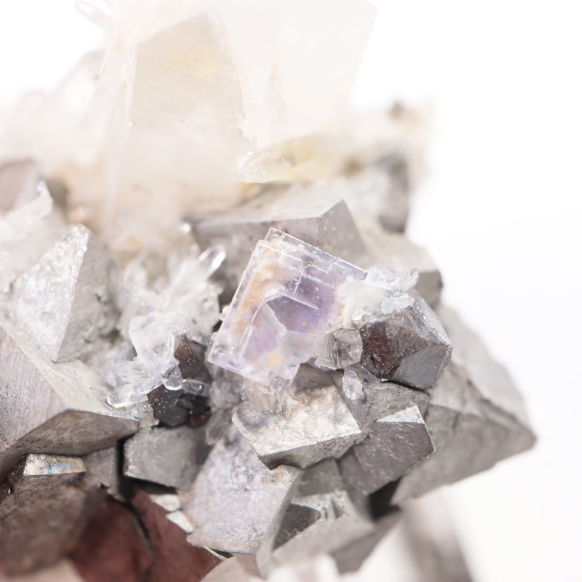 �䥪���󥷥��ۻ��� β��Ŵ�ۡ���������