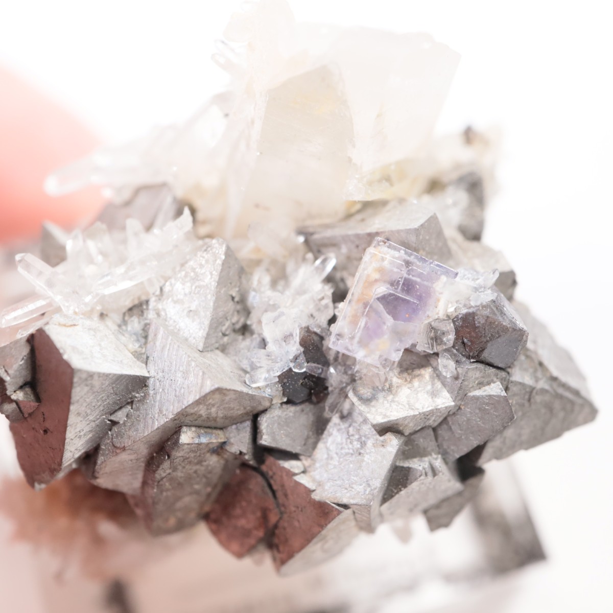 �䥪���󥷥��ۻ��� β��Ŵ�ۡ���������