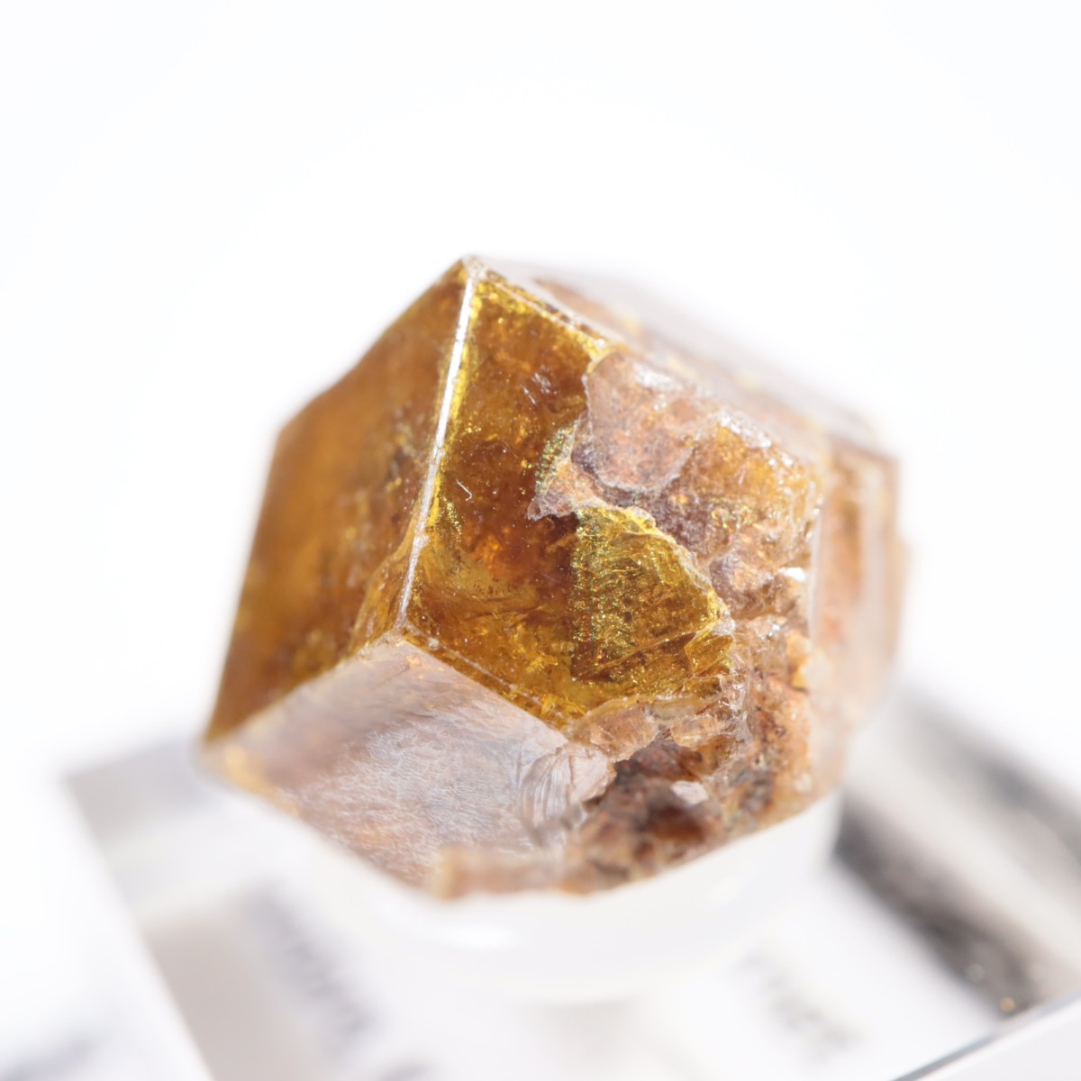 �ޥ껺 �����ͥå�