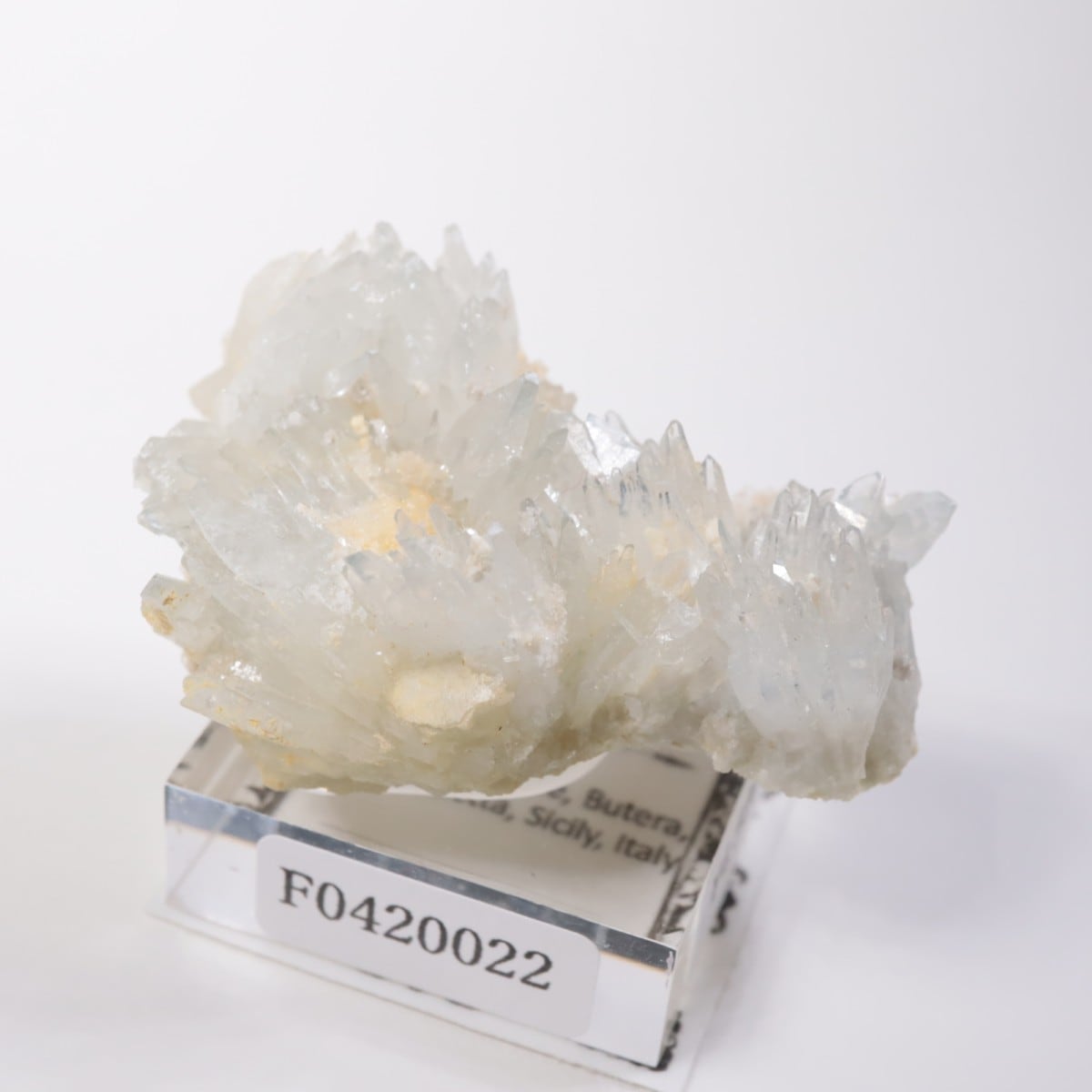 �����ꥢ�� ���쥹�ƥ���