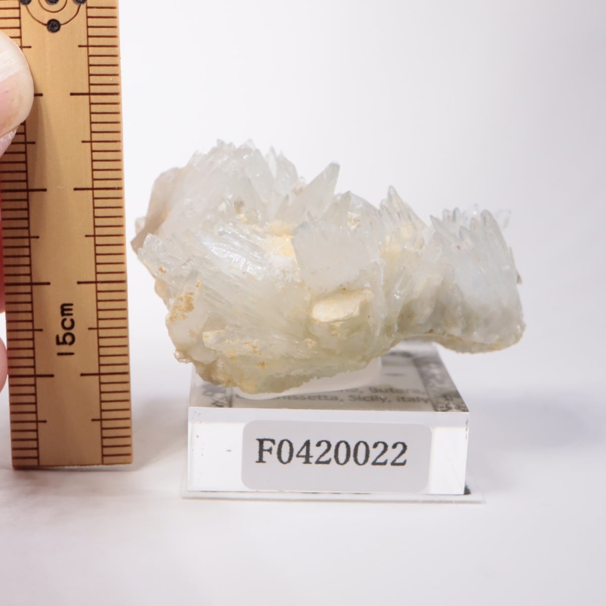 �����ꥢ�� ���쥹�ƥ���