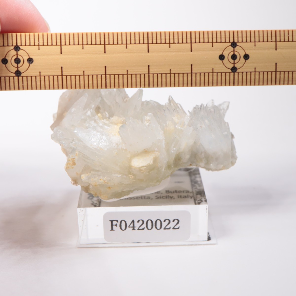 �����ꥢ�� ���쥹�ƥ���