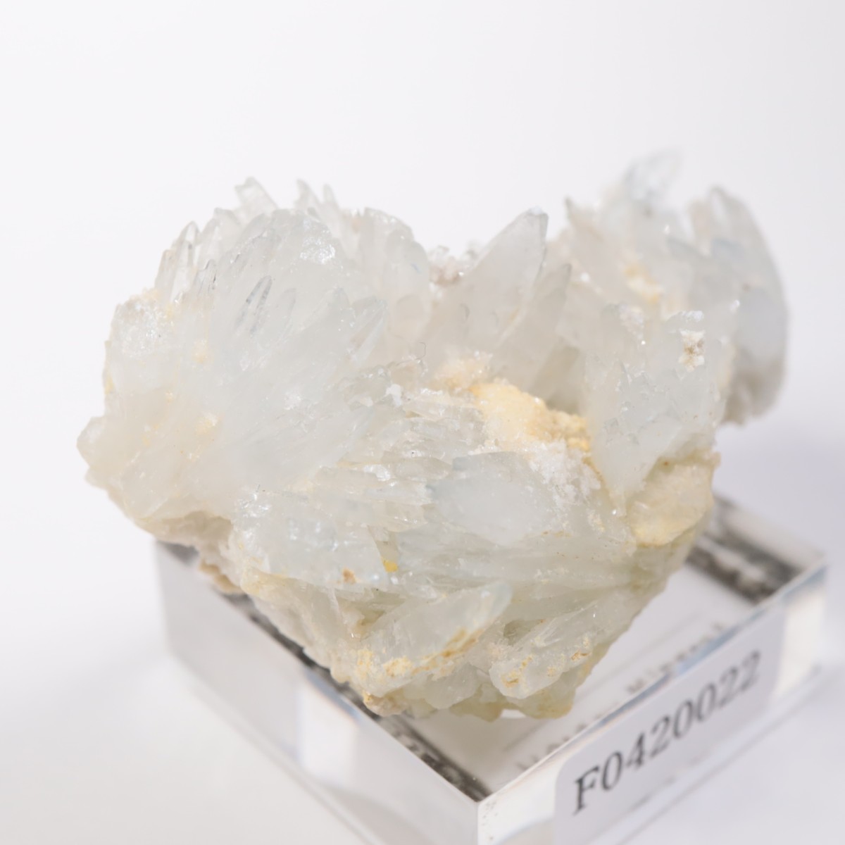 �����ꥢ�� ���쥹�ƥ���