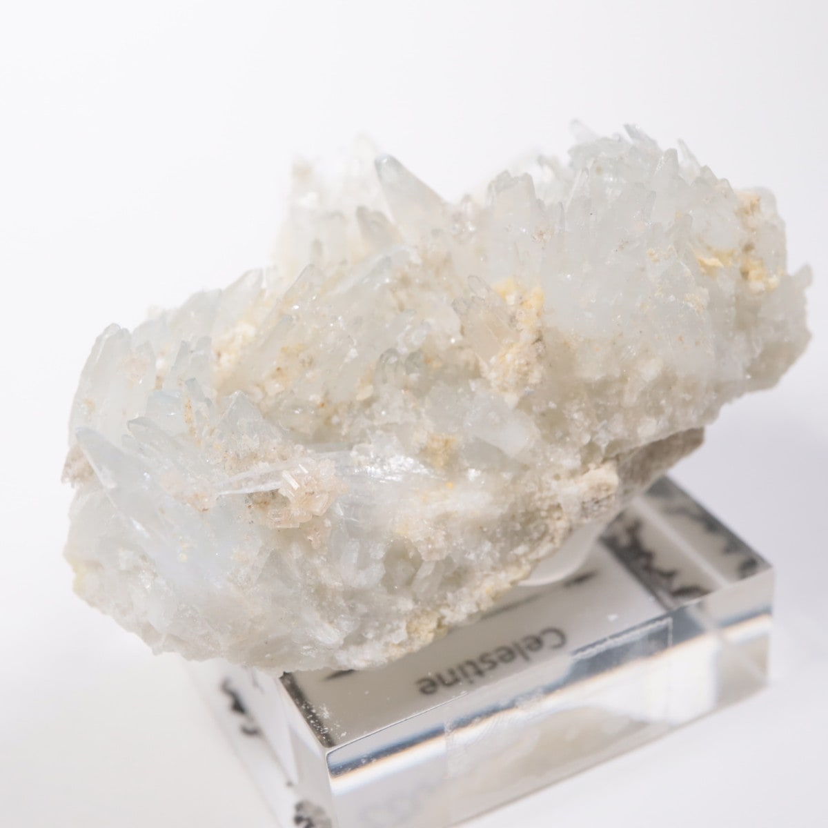 �����ꥢ�� ���쥹�ƥ���