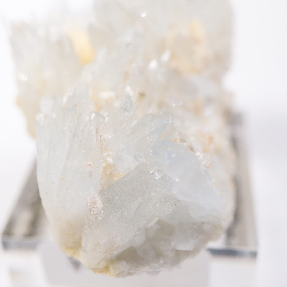 �����ꥢ�� ���쥹�ƥ���