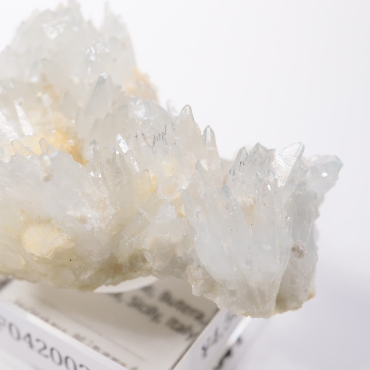 �����ꥢ�� ���쥹�ƥ���