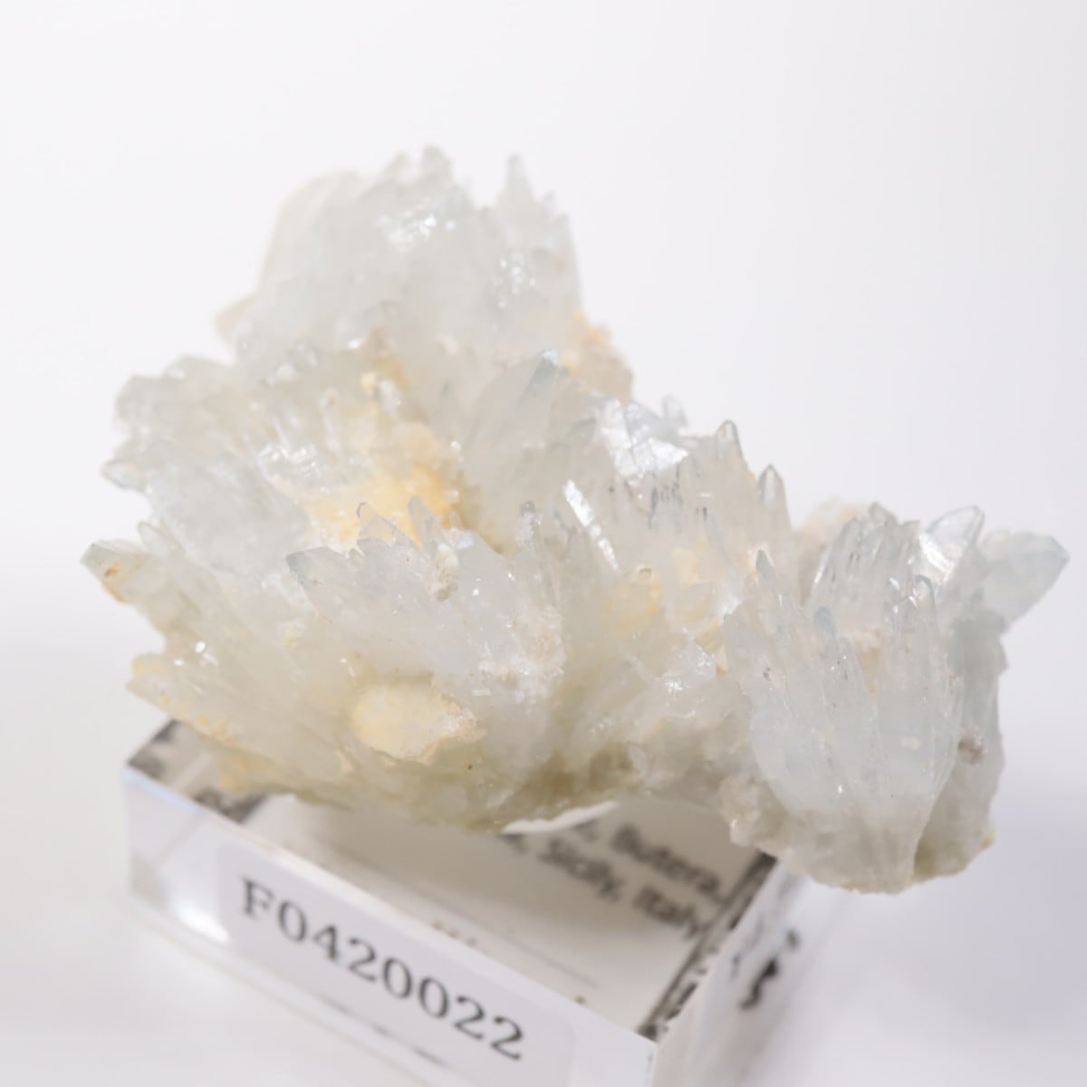 �����ꥢ�� ���쥹�ƥ���