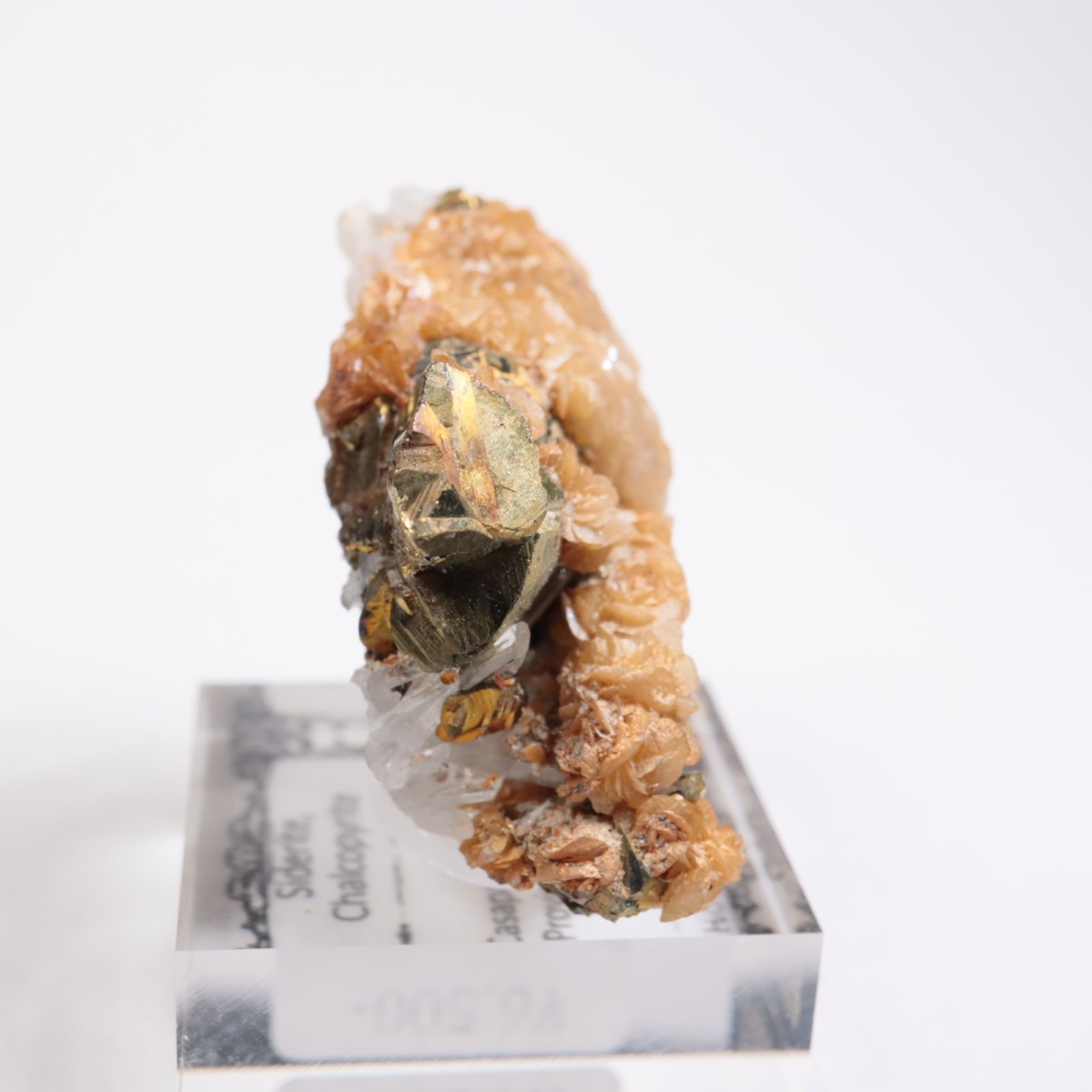 �ڥ롼�� ���ǥ饤�ȡ�����륳�ѥ��饤��