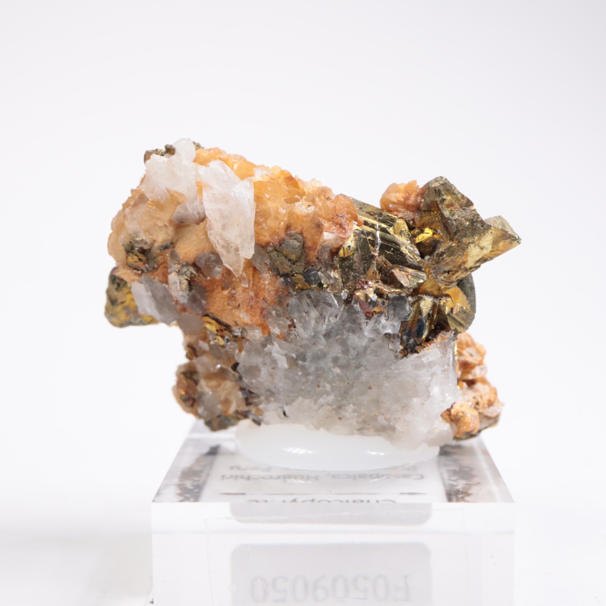 �ڥ롼�� ���ǥ饤�ȡ�����륳�ѥ��饤��