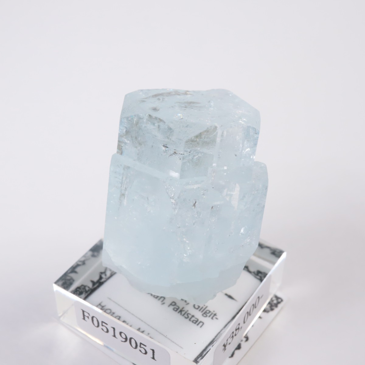 �ѥ������� �������ޥ��