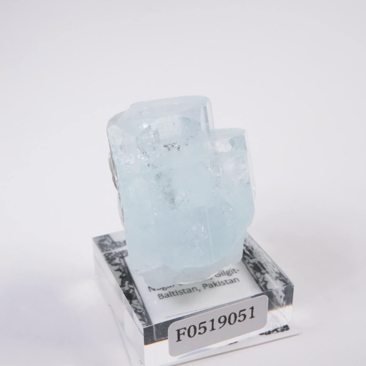 �ѥ������� �������ޥ��