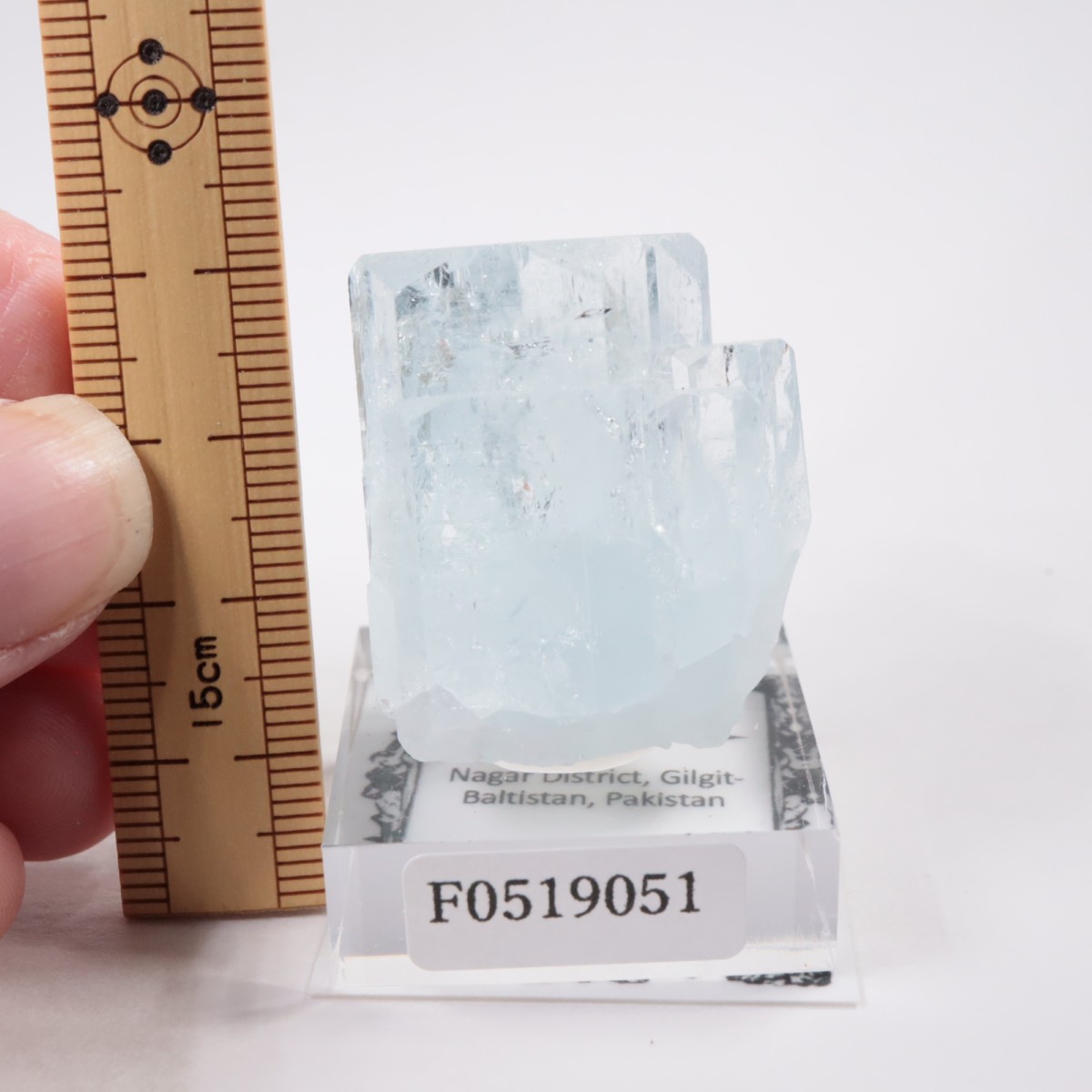 �ѥ������� �������ޥ��