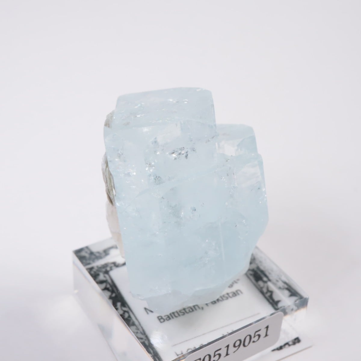 �ѥ������� �������ޥ��