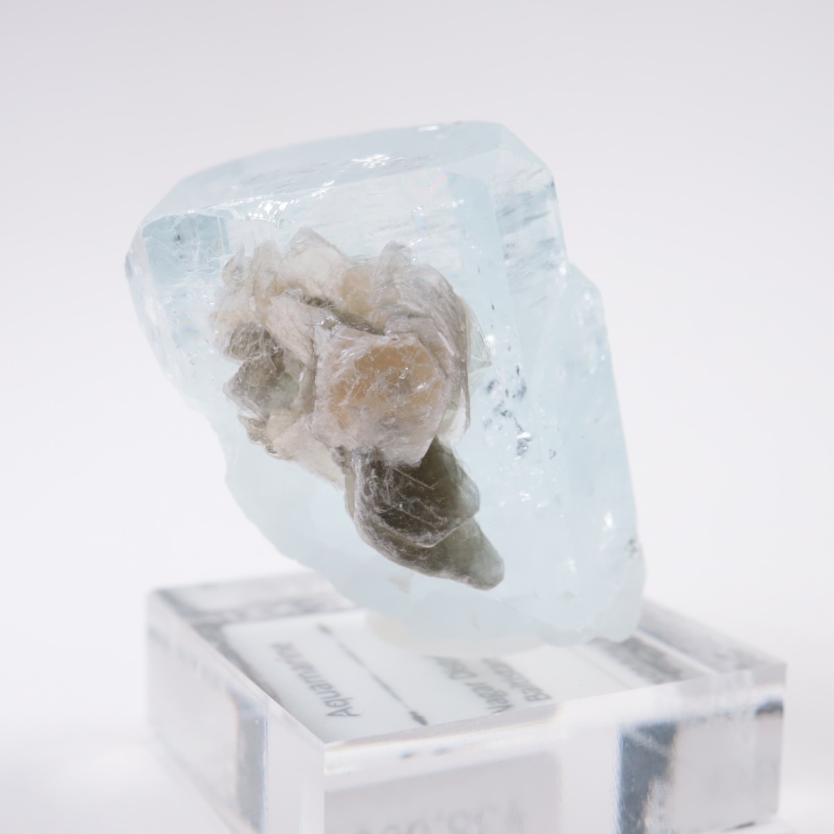 �ѥ������� �������ޥ��