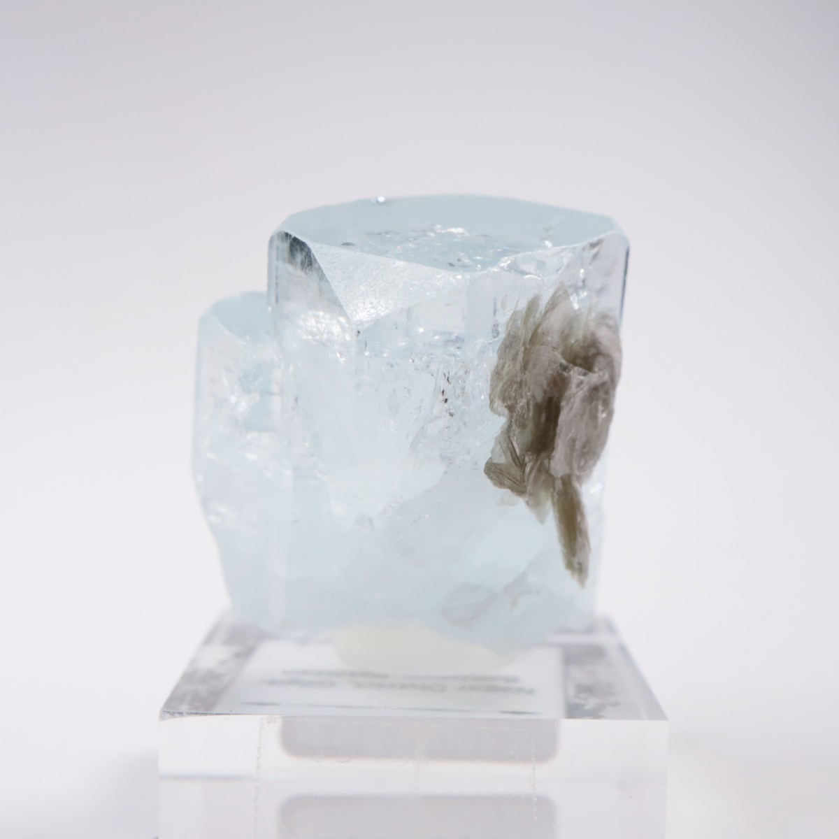 �ѥ������� �������ޥ��