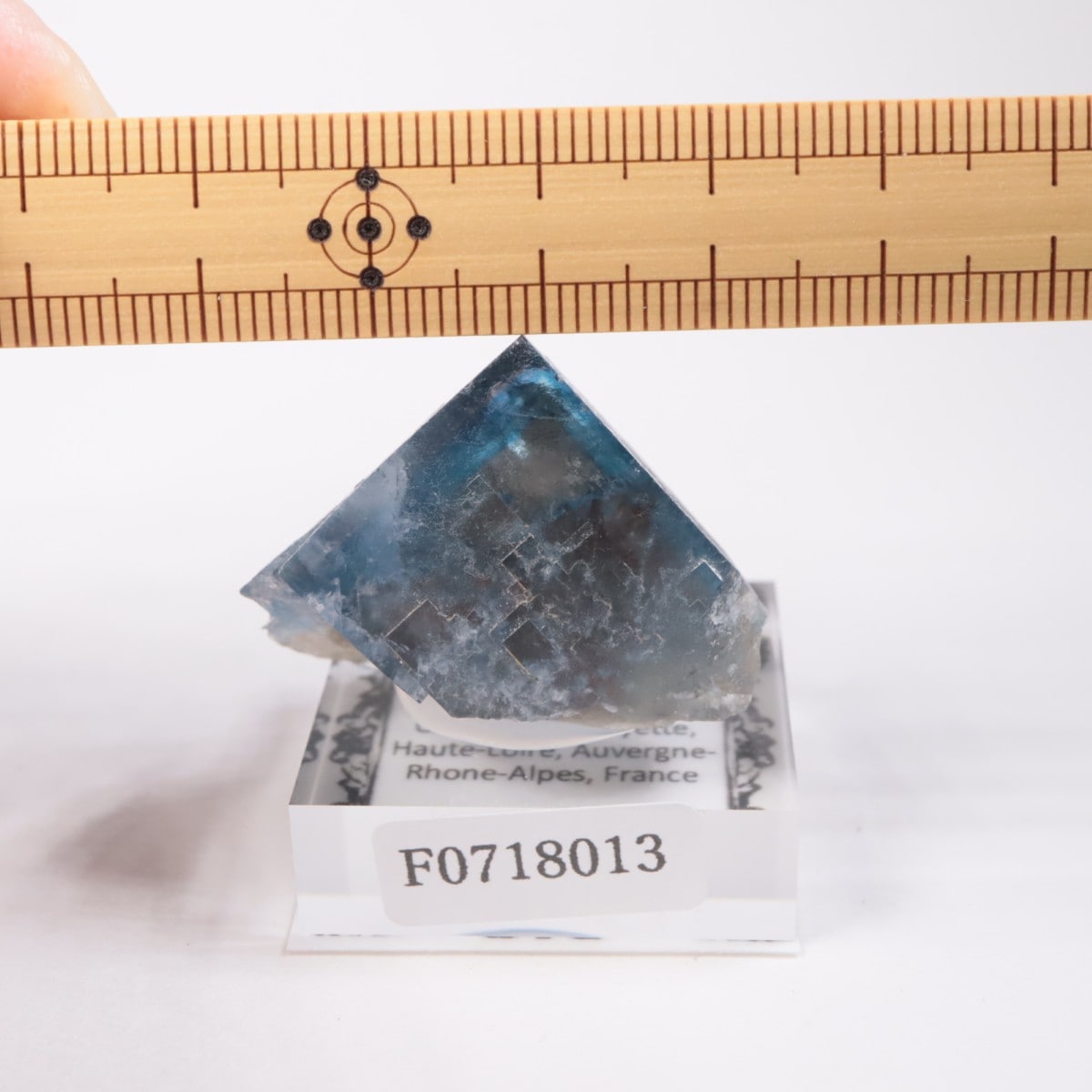 �ե�󥹻����ե����饤��