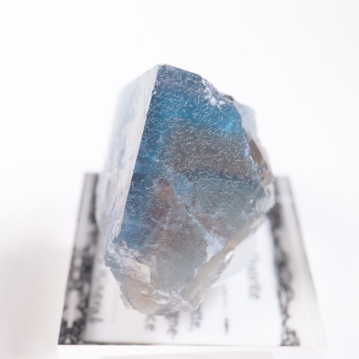 �ե�󥹻����ե����饤��