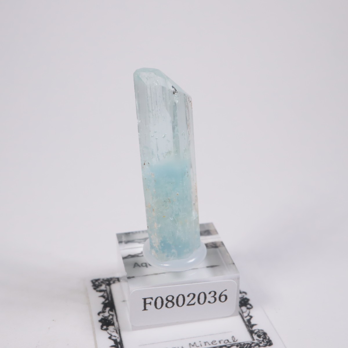 �֥饸�뻺 �������ޥ��