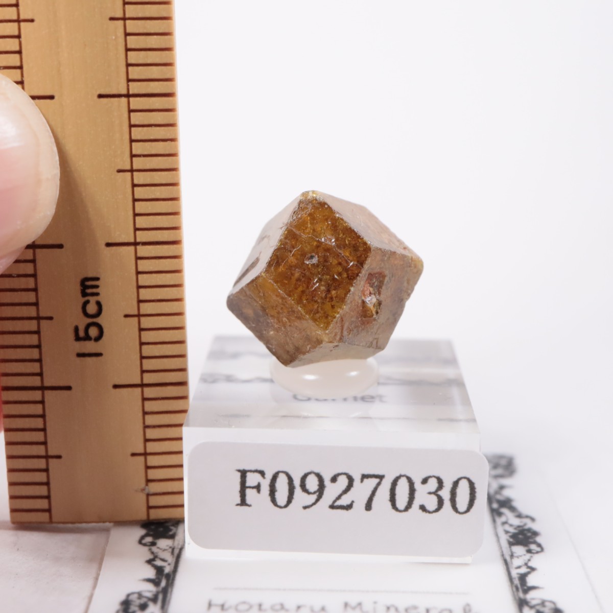 �ޥ껺 �����ͥå�