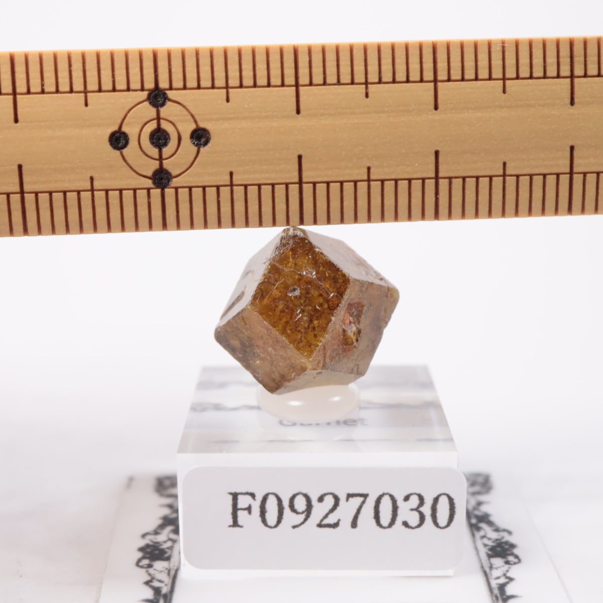 �ޥ껺 �����ͥå�