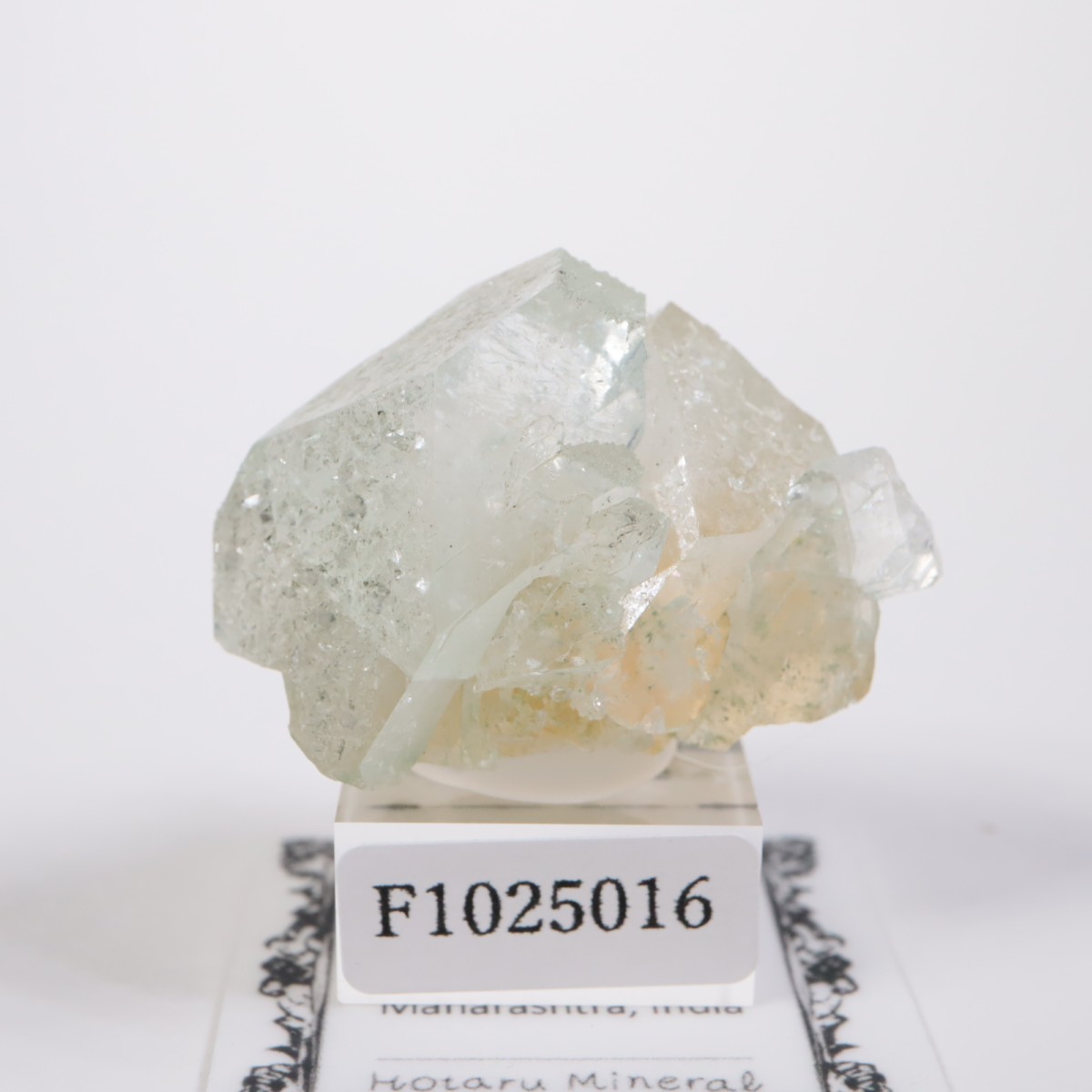 ����ɻ� ���ݥե��饤��