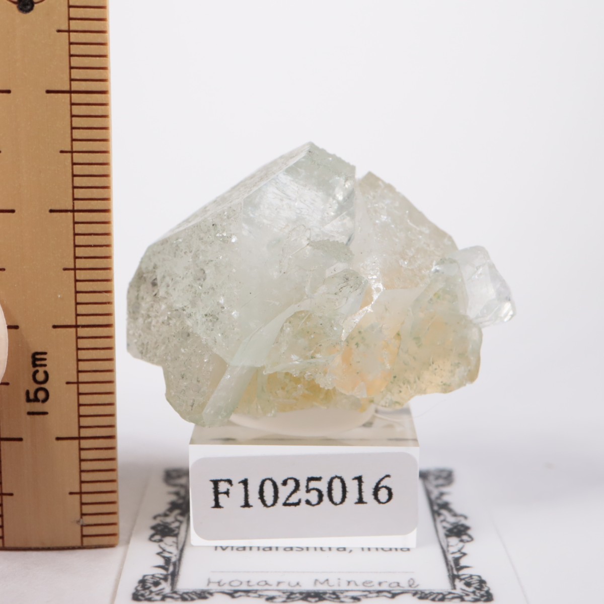 ����ɻ� ���ݥե��饤��