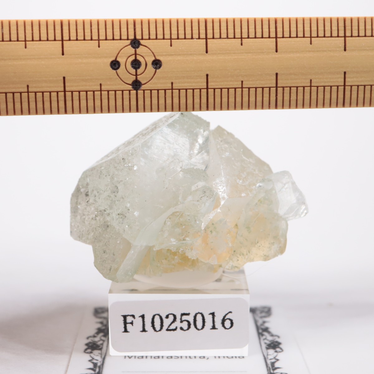 ����ɻ� ���ݥե��饤��