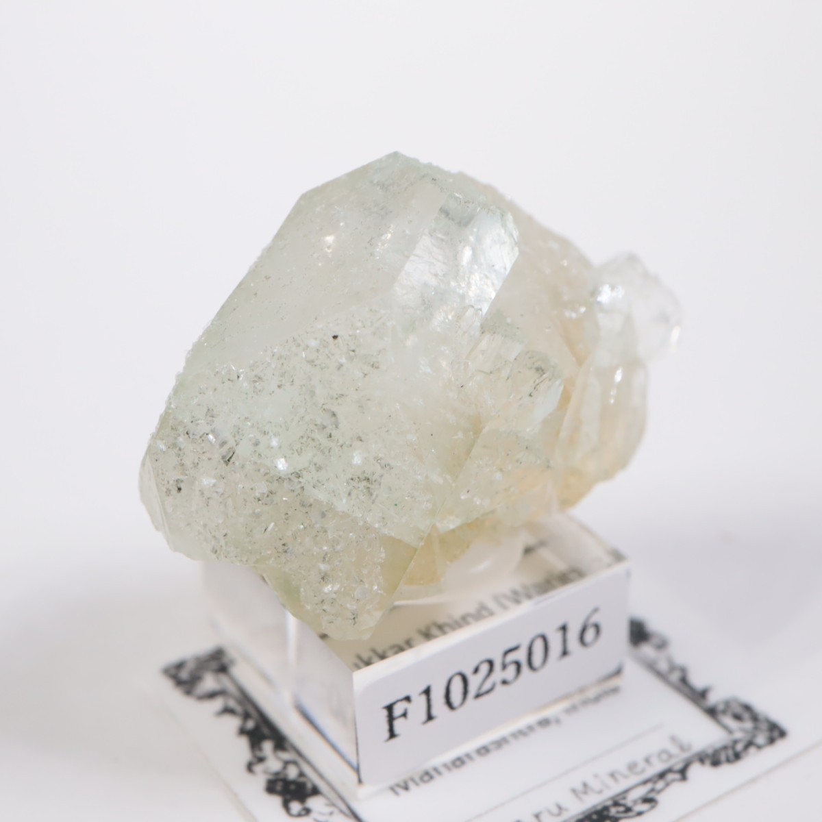 ����ɻ� ���ݥե��饤��