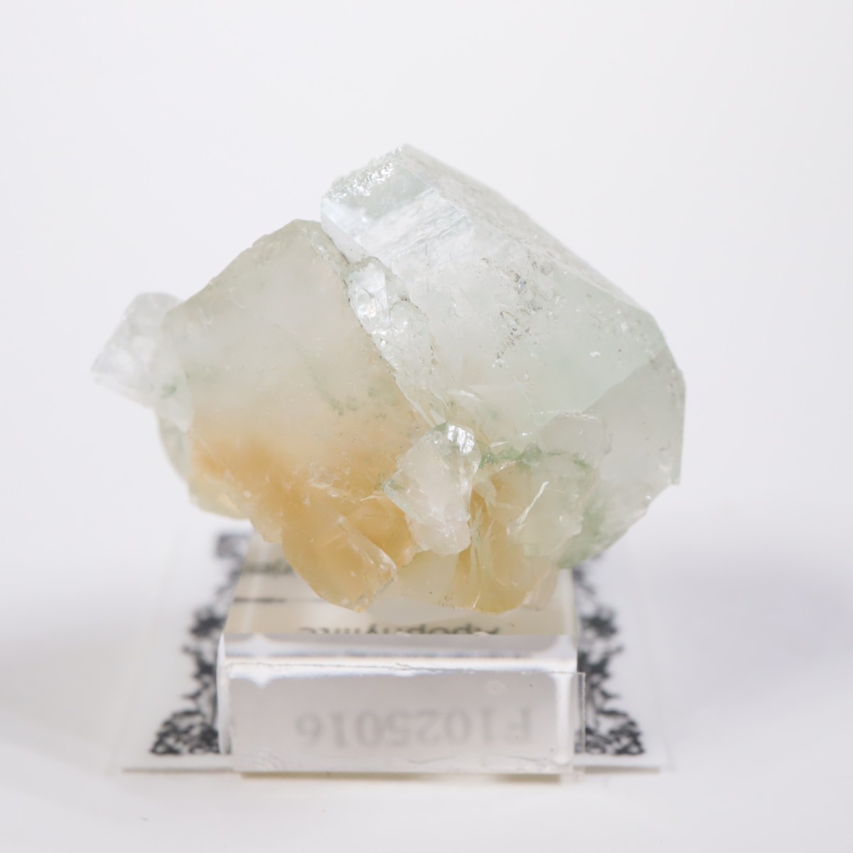 ����ɻ� ���ݥե��饤��