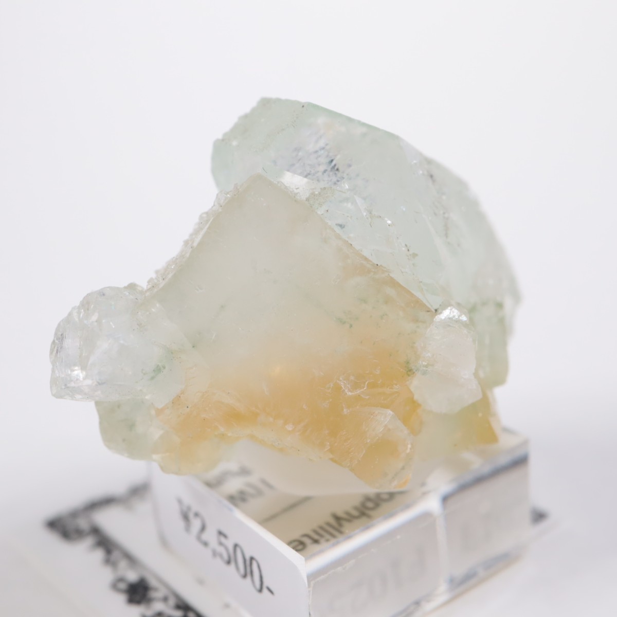 ����ɻ� ���ݥե��饤��