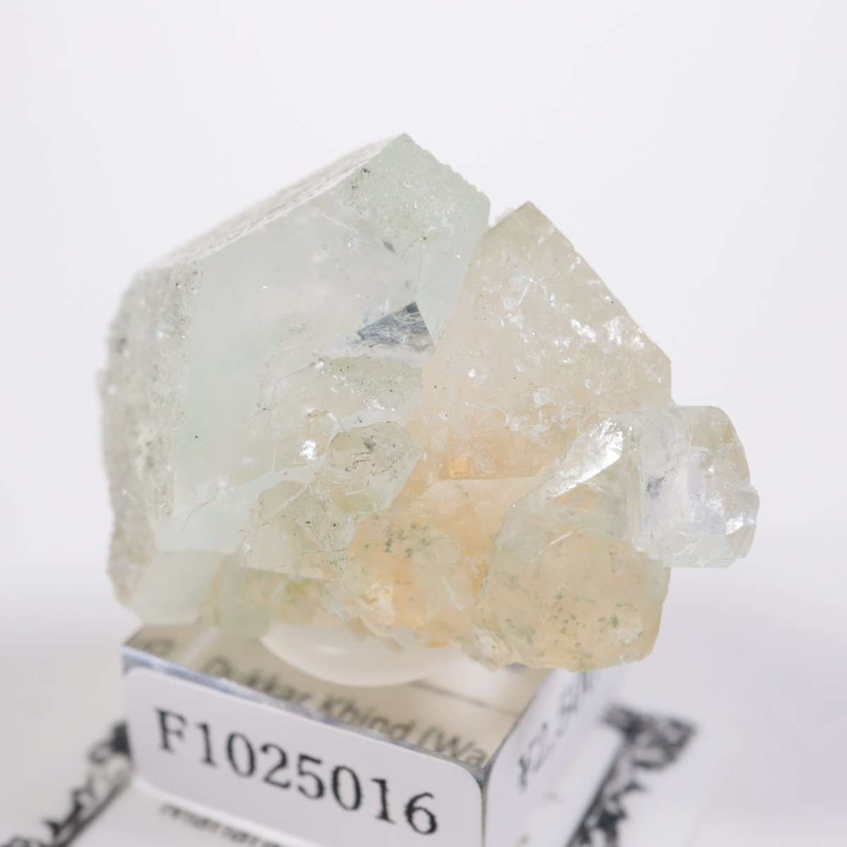 ����ɻ� ���ݥե��饤��