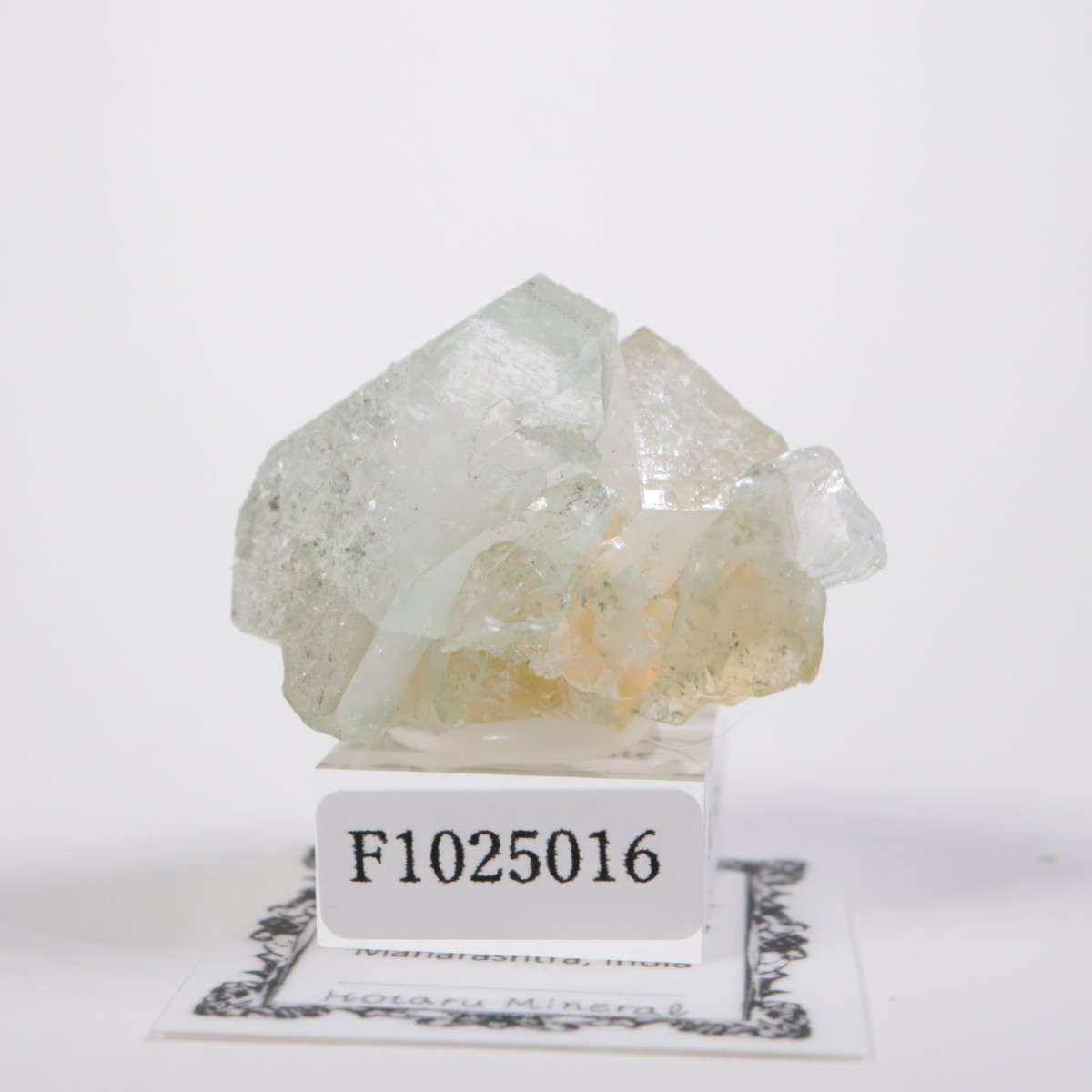 ����ɻ� ���ݥե��饤��