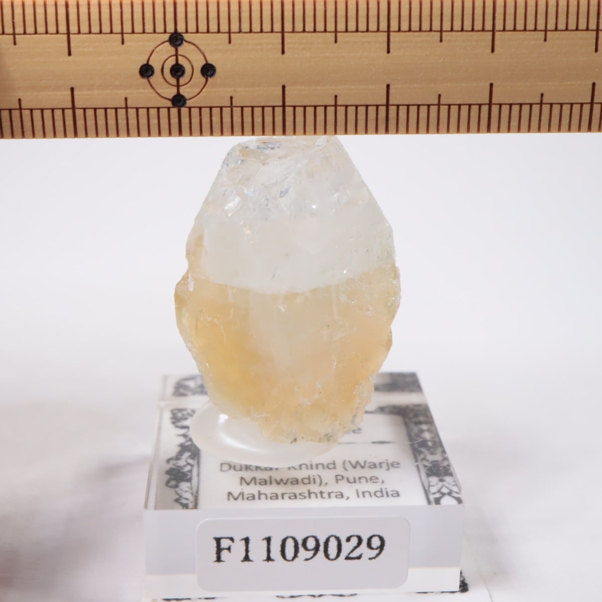 ����ɻ� ���ݥե��饤��