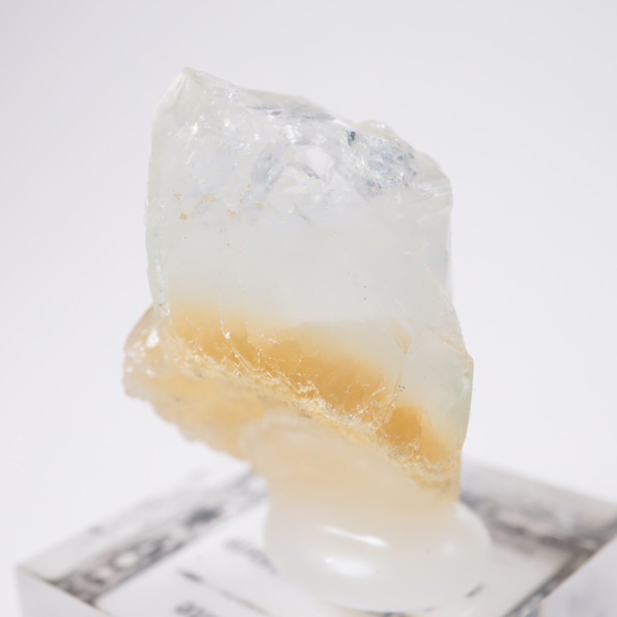 ����ɻ� ���ݥե��饤��