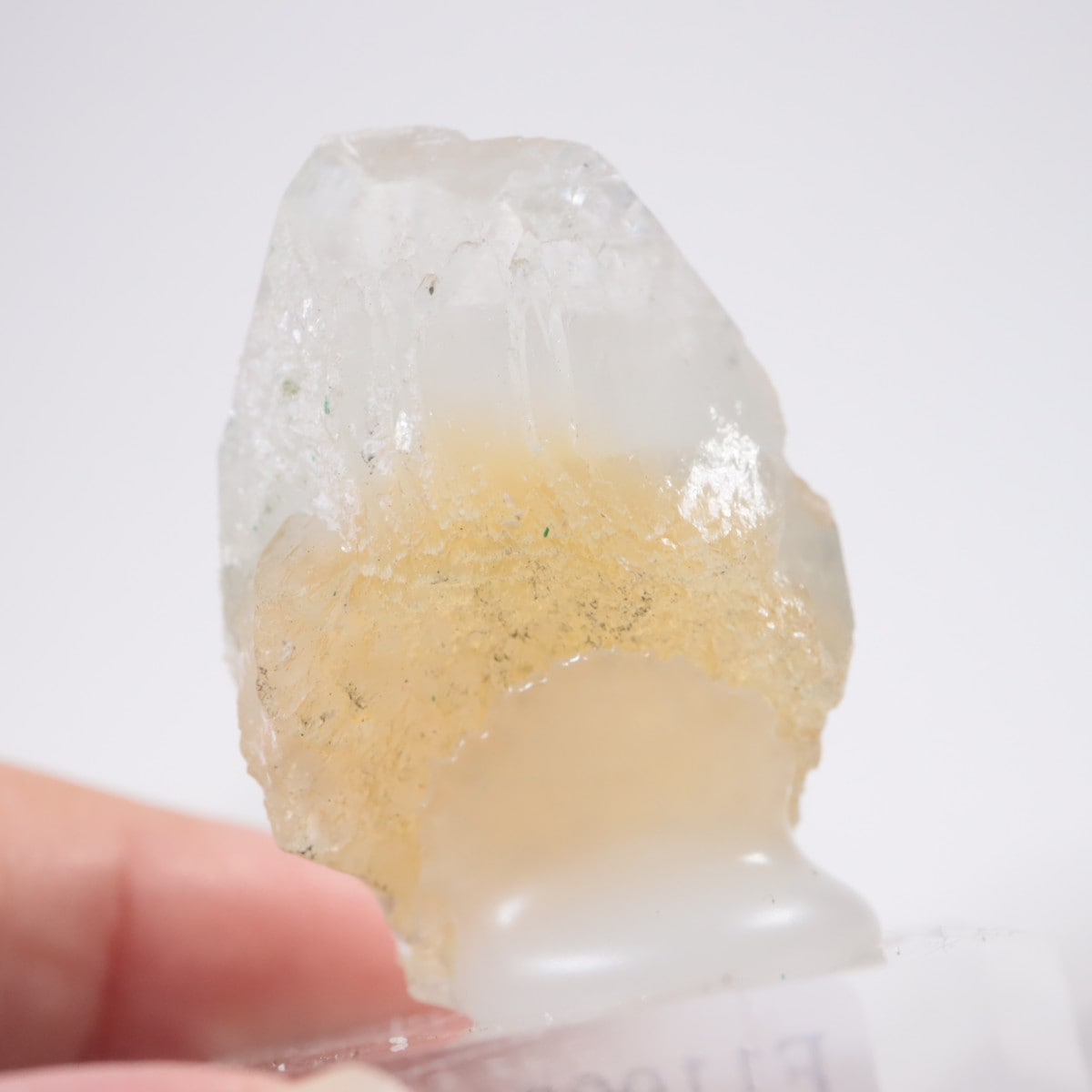 ����ɻ� ���ݥե��饤��