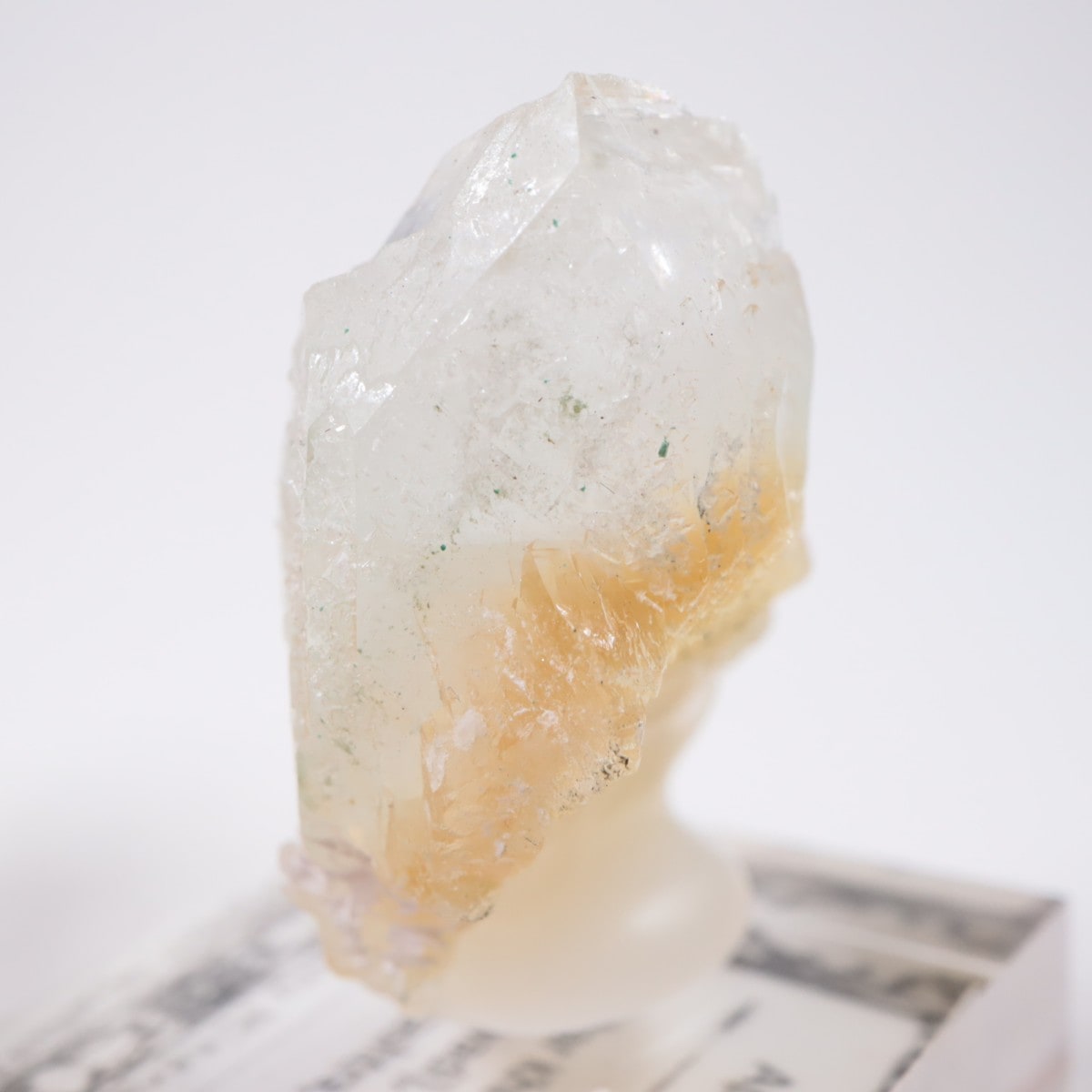 ����ɻ� ���ݥե��饤��