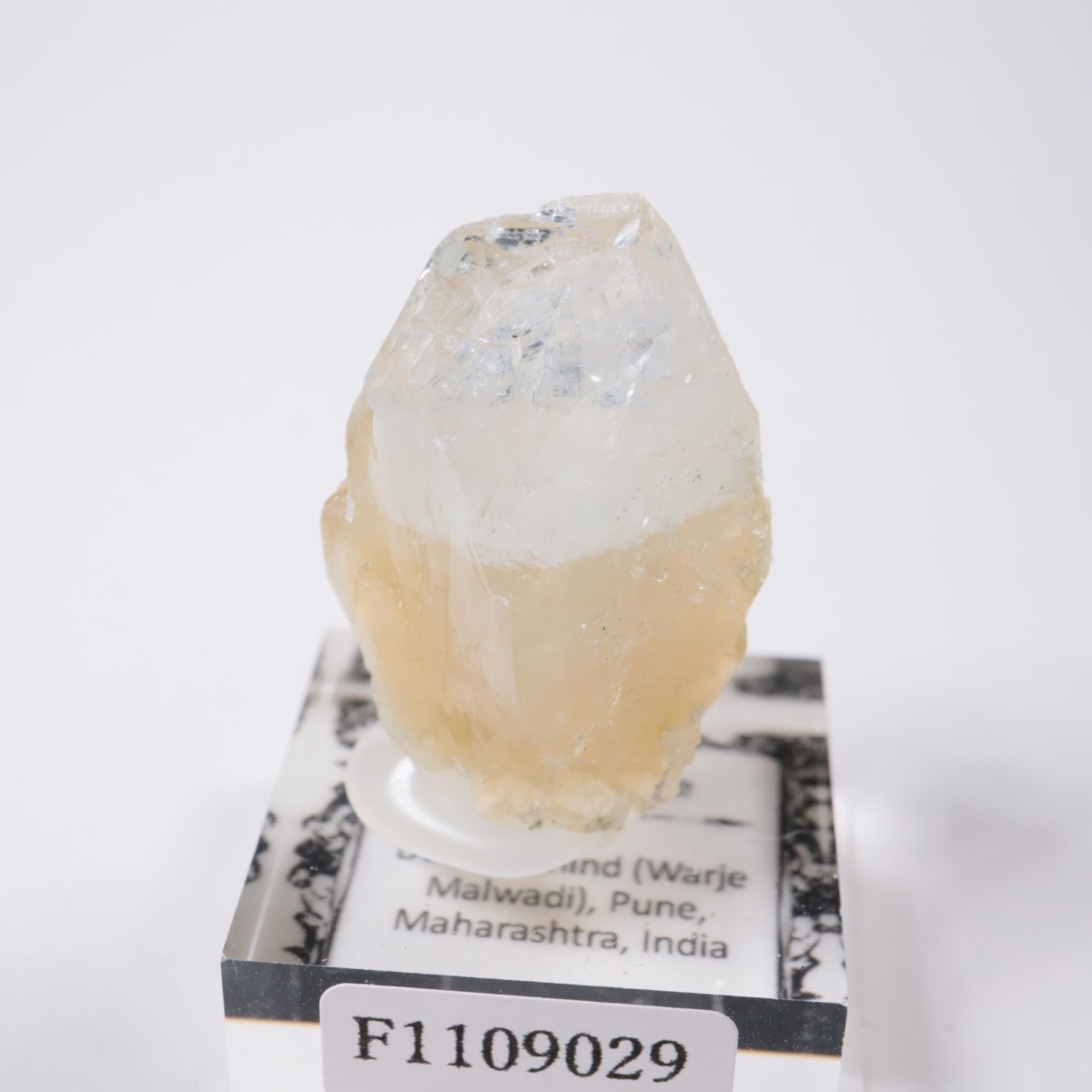 ����ɻ� ���ݥե��饤��