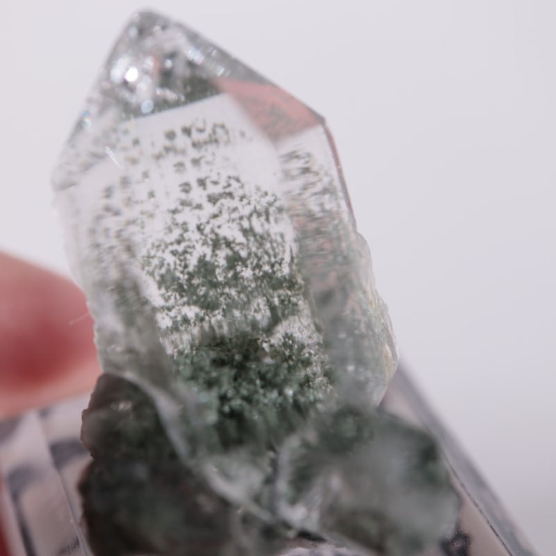インド産 クローライトインクォーツ | 鉱物標本,カ行,クォーツ/水晶