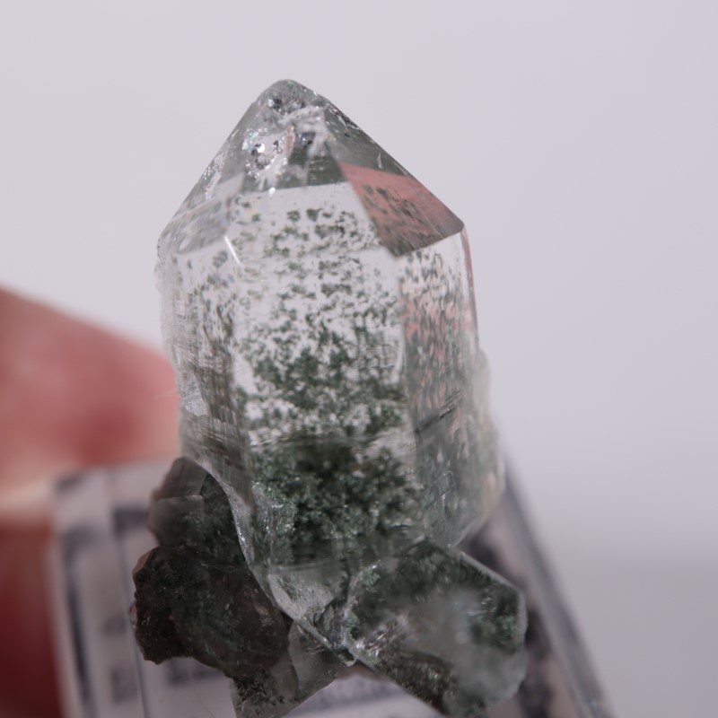 インド産 クローライトインクォーツ | 鉱物標本,カ行,クォーツ/水晶