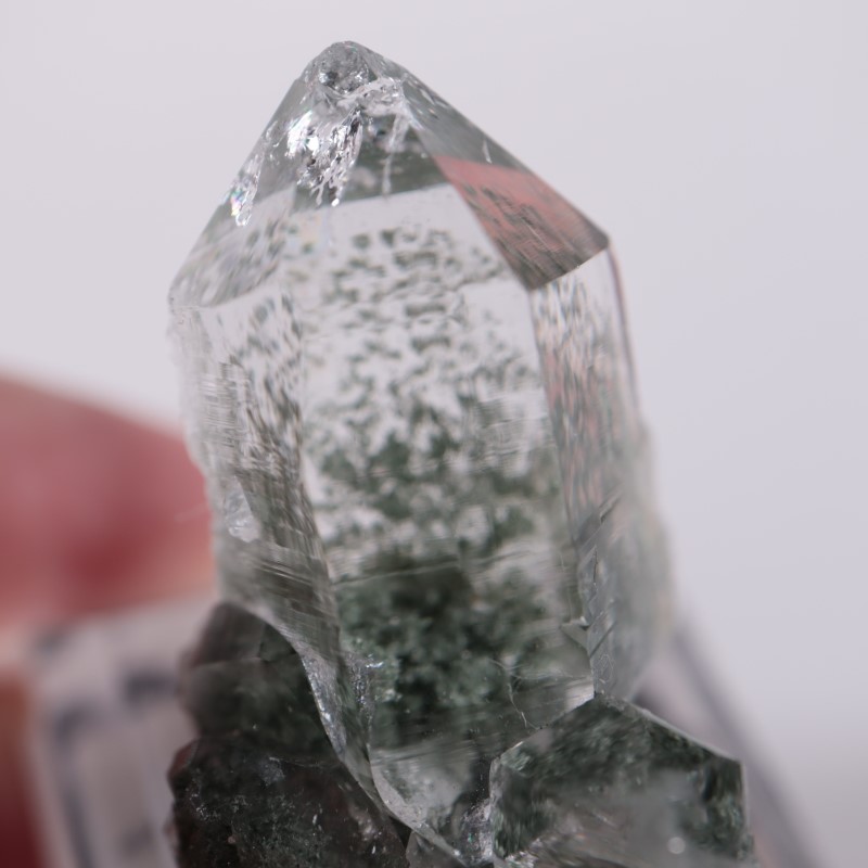 インド産 クローライトインクォーツ | 鉱物標本,カ行,クォーツ/水晶