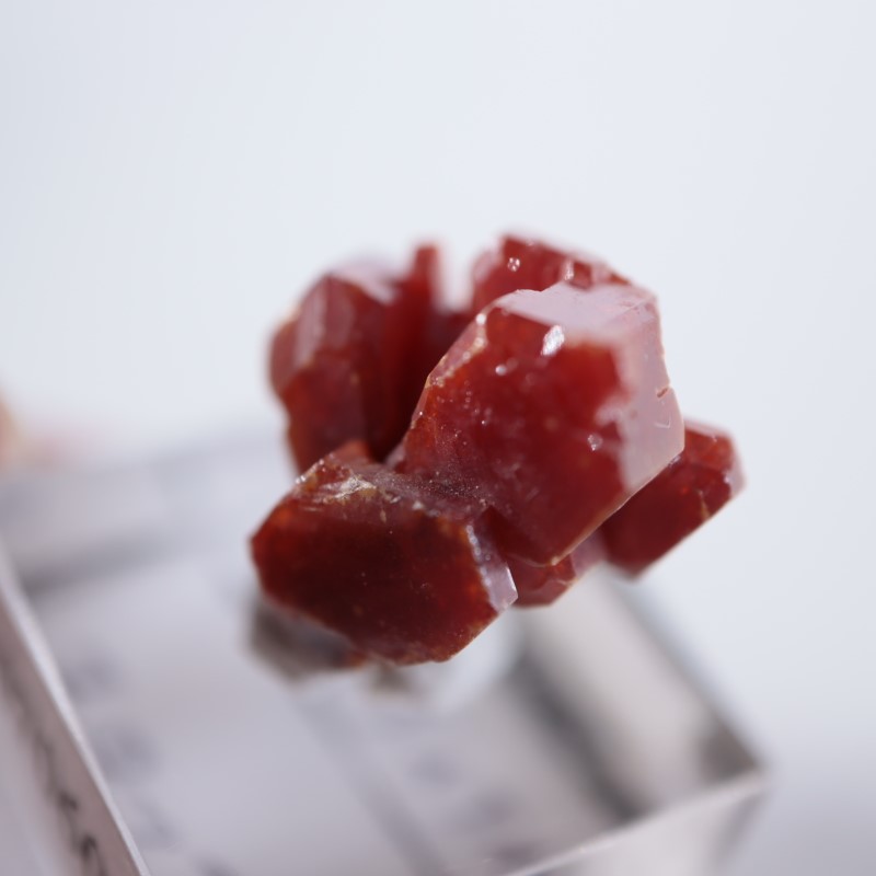 ����å������Хʥǥ��ʥ���