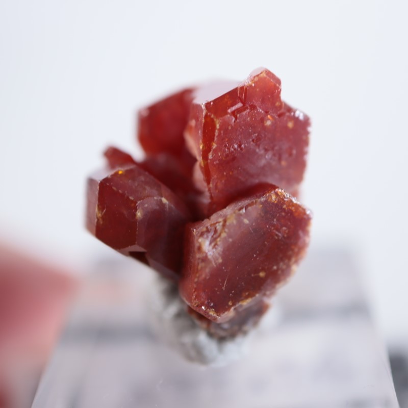 ����å������Хʥǥ��ʥ���