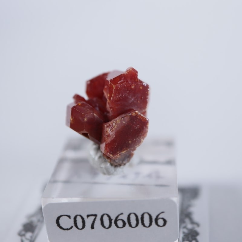 ����å������Хʥǥ��ʥ���