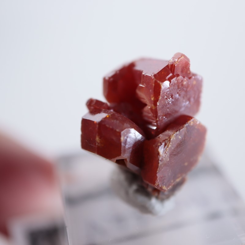 ����å������Хʥǥ��ʥ���